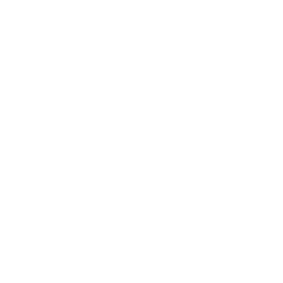 Sea Icon